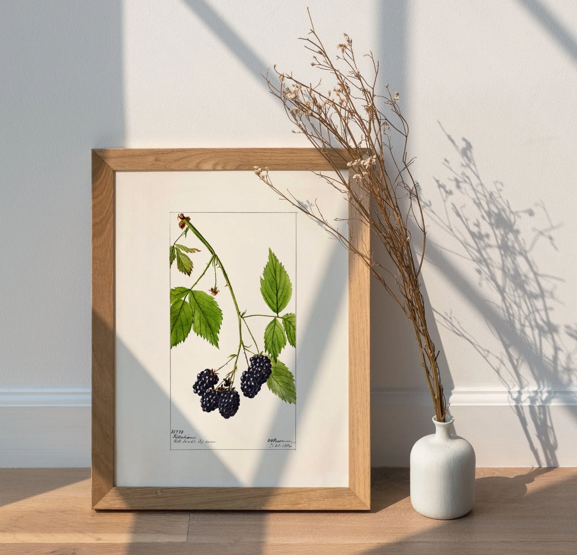 Blackberries Vintage Art