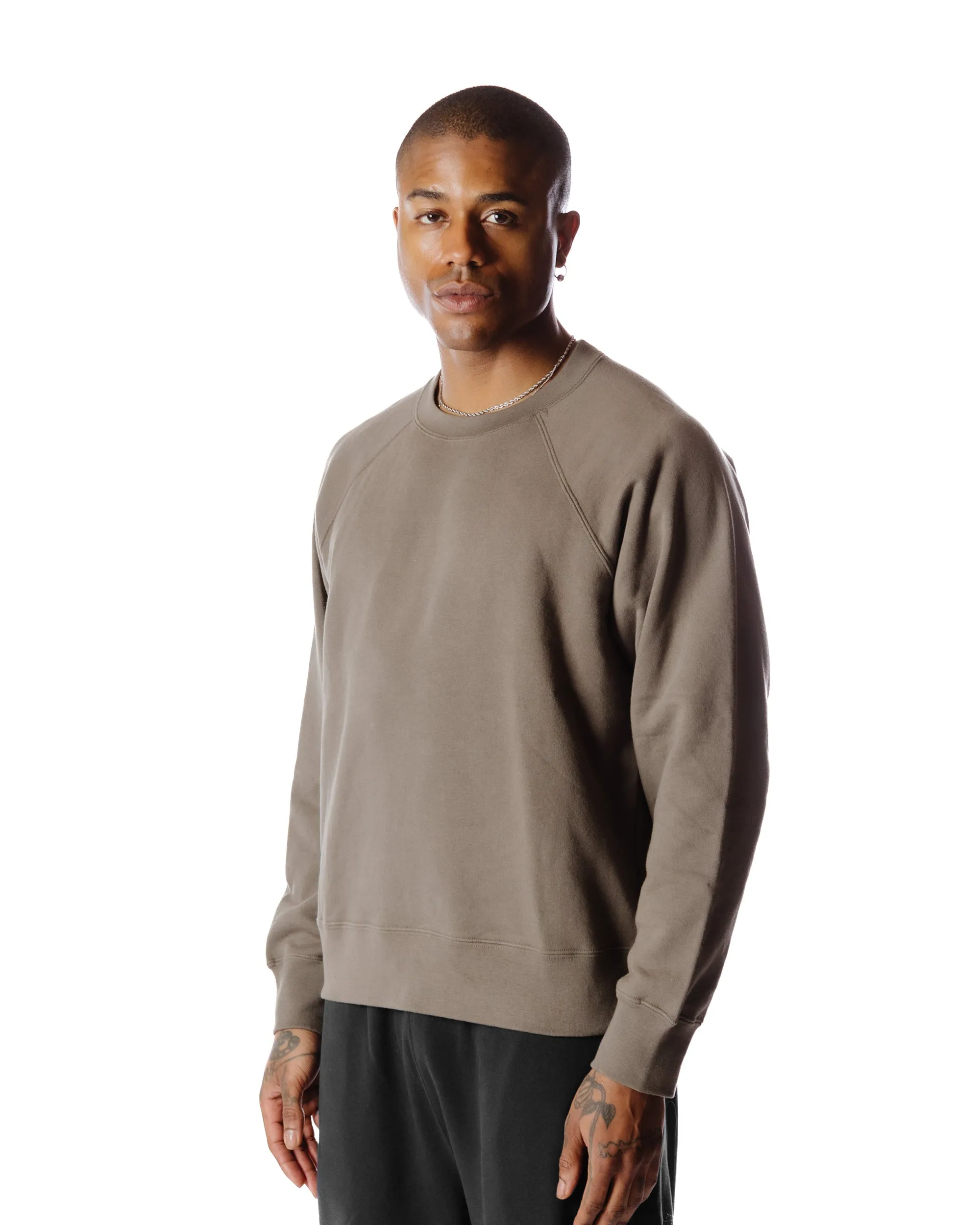 Body of Work Aster Raglan Sweatshirt Clay