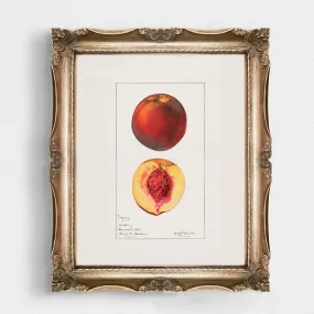 Peaches Vintage Art