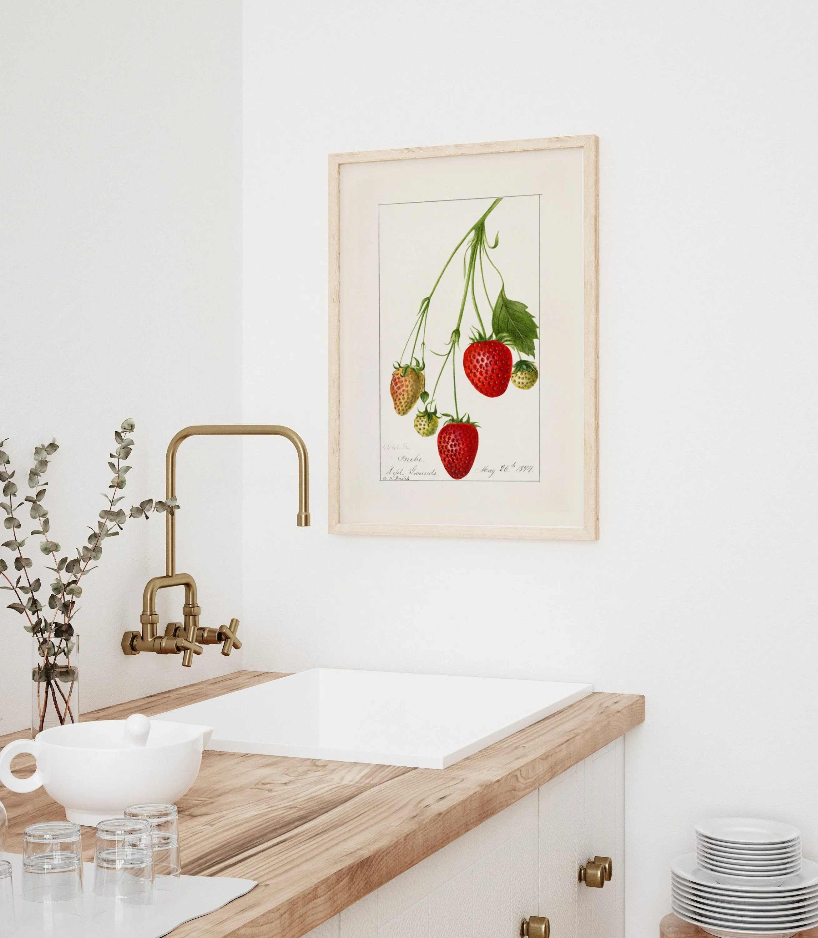 Vintage Strawberry Plant Kitchen Wall Art